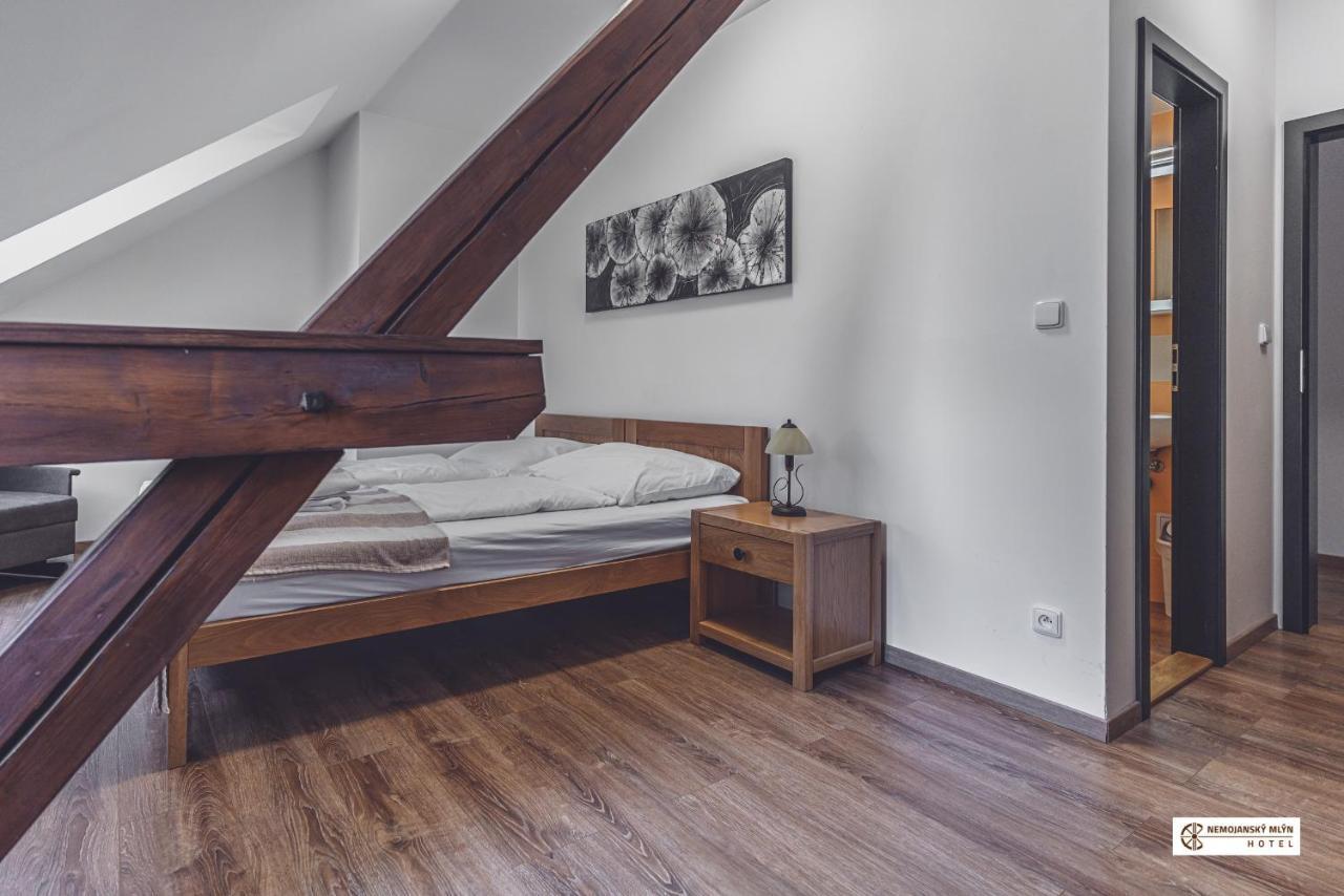 Nemojany Hotel Nemojansky Mlyn מראה חיצוני תמונה