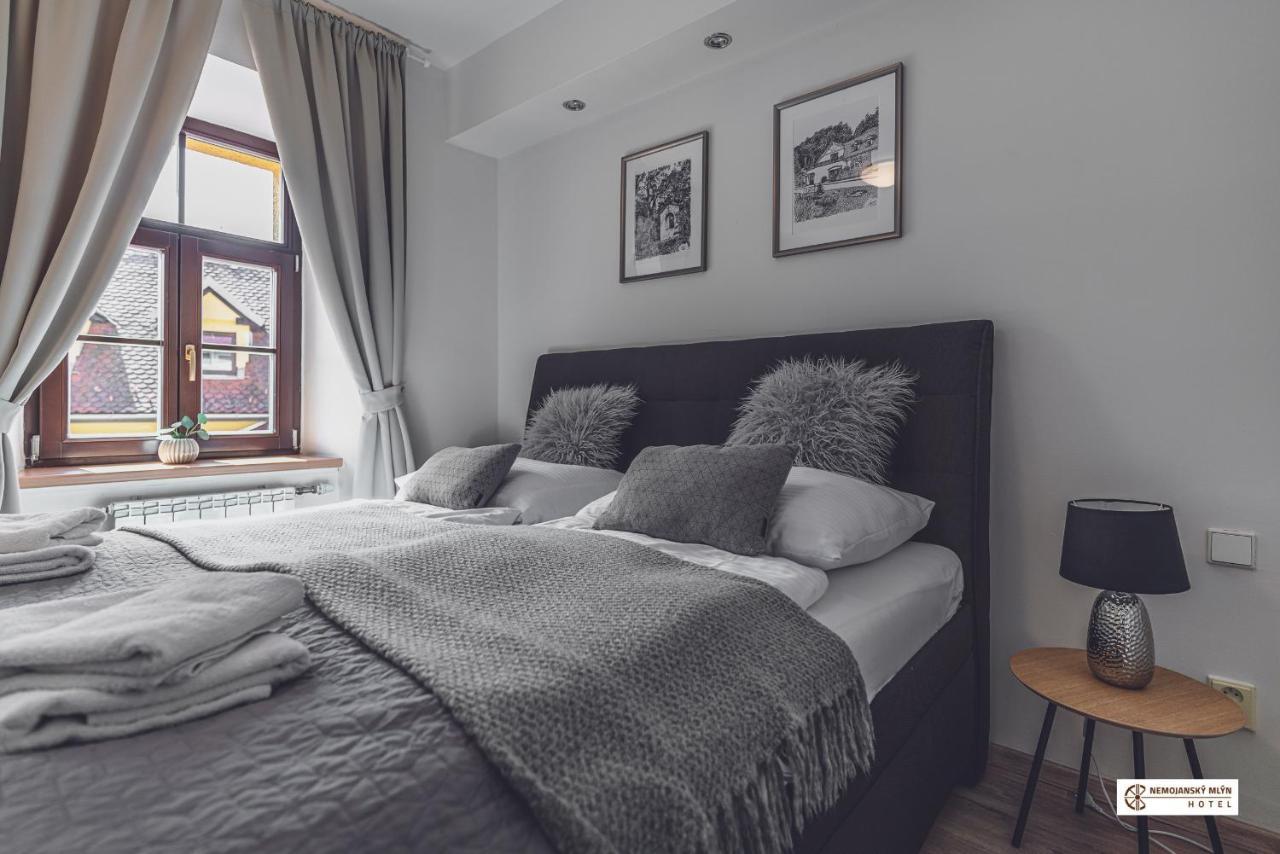 Nemojany Hotel Nemojansky Mlyn מראה חיצוני תמונה