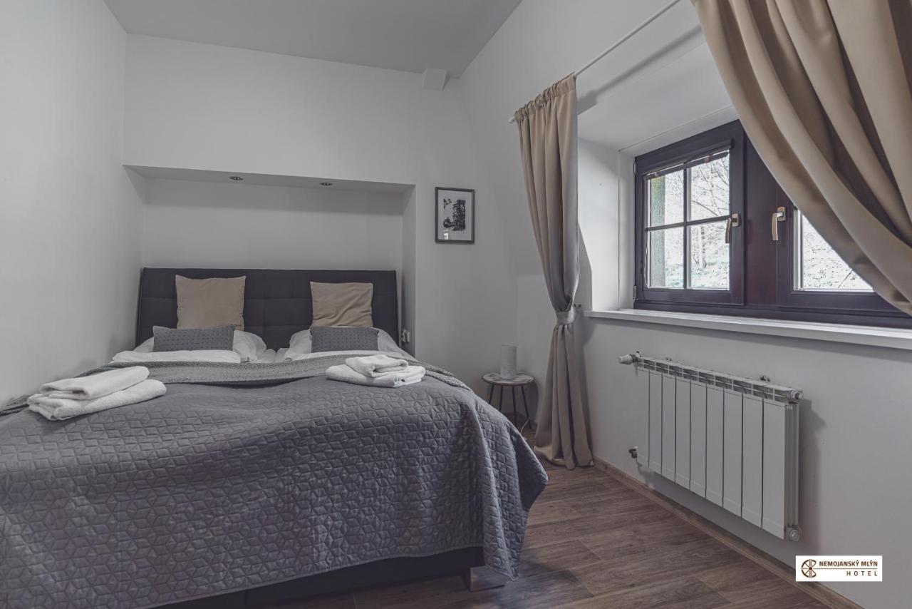 Nemojany Hotel Nemojansky Mlyn מראה חיצוני תמונה